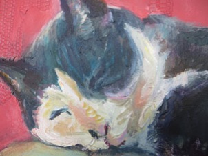 detail slapende poes op bank